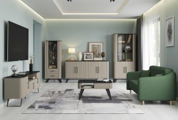 Стенка Фиделия, модульная (Олмеко) в Краснотурьинске - krasnoturinsk.mebel-e96.ru