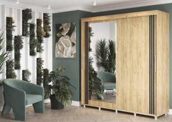 Шкаф-купе 2000 мм Форест крафт золотой(Стиль) в Краснотурьинске - krasnoturinsk.mebel-e96.ru