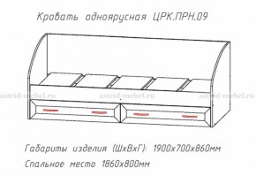 Кровать одноярусная Принцесса (ЦРК.ПРН.09) (АстридМ) в Краснотурьинске - krasnoturinsk.mebel-e96.ru