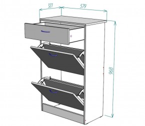 Обувница W21 (Белый) в Краснотурьинске - krasnoturinsk.mebel-e96.ru