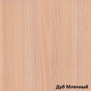 Шкаф-купе Рио 1-600 Амели (полки справа) в Краснотурьинске - krasnoturinsk.mebel-e96.ru