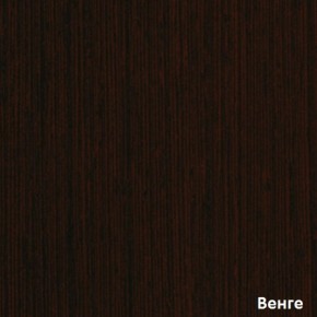 Шкаф-купе Рио 1-600 Амели (полки справа) в Краснотурьинске - krasnoturinsk.mebel-e96.ru