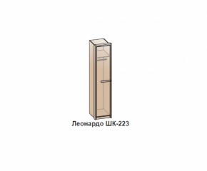 Шкаф ЛЕОНАРДО (ШК-223) Венге в Краснотурьинске - krasnoturinsk.mebel-e96.ru | фото