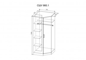 Шкаф угловой Софи  СШУ860.1 (ДСВ) в Краснотурьинске - krasnoturinsk.mebel-e96.ru