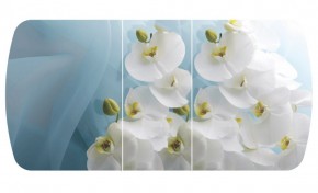 Стол Бостон-3 (Белая Орхидея) 1100/1420*700, опора Брифинг в Краснотурьинске - krasnoturinsk.mebel-e96.ru