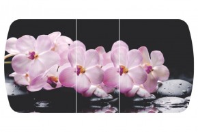 Стол Бостон-3 (Розовая Орхидея) 1100/1420*700, опора Брифинг в Краснотурьинске - krasnoturinsk.mebel-e96.ru
