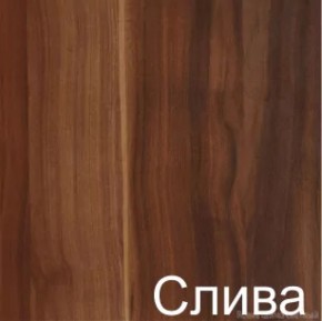 Стол-книжка (1-65) (ГК) в Краснотурьинске - krasnoturinsk.mebel-e96.ru