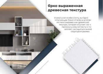 Стенка Токио комп.3 (СВ) в Краснотурьинске - krasnoturinsk.mebel-e96.ru