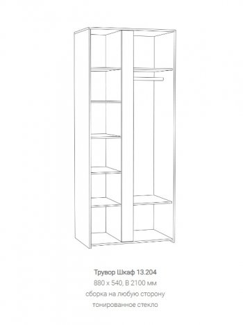 Шкаф Трувор 13.204 в Краснотурьинске - krasnoturinsk.mebel-e96.ru