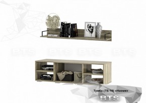 Тумба ТВ ТБ-16 Наоми (БТС) в Краснотурьинске - krasnoturinsk.mebel-e96.ru