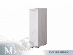 Тумба узкая ТБ-21 Кимберли (БТС) в Краснотурьинске - krasnoturinsk.mebel-e96.ru | фото